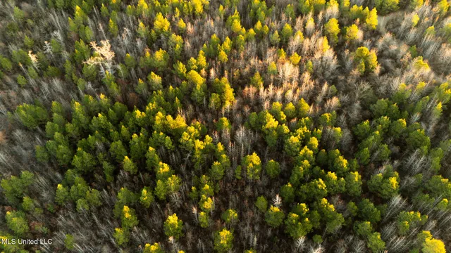 $364,500 | 3885 Attala Road 4153, Sallis, MS 39160