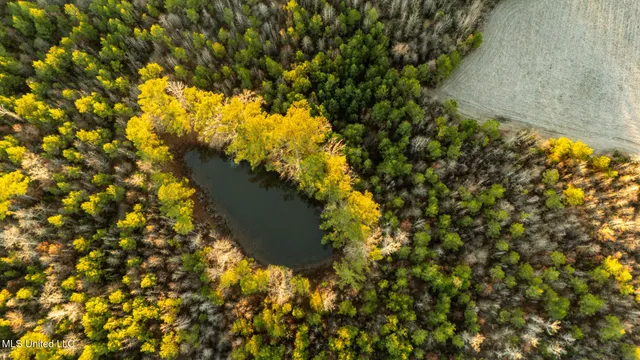 $364,500 | 3885 Attala Road 4153, Sallis, MS 39160