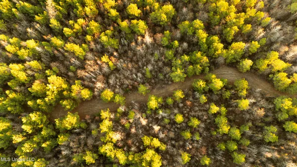 $364,500 | 3885 Attala Road 4153, Sallis, MS 39160