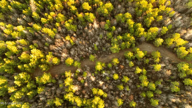 $364,500 | 3885 Attala Road 4153, Sallis, MS 39160