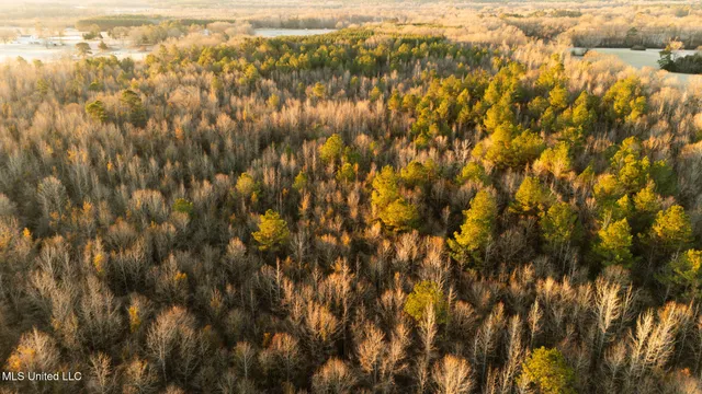 $364,500 | 3885 Attala Road 4153, Sallis, MS 39160