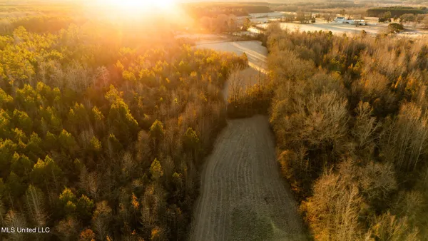 $364,500 | 3885 Attala Road 4153, Sallis, MS 39160