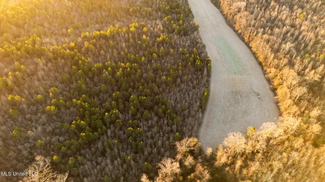 $364,500 | 3885 Attala Road 4153, Sallis, MS 39160