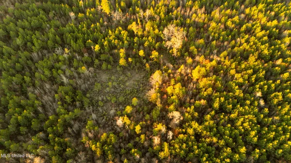 $364,500 | 3885 Attala Road 4153, Sallis, MS 39160