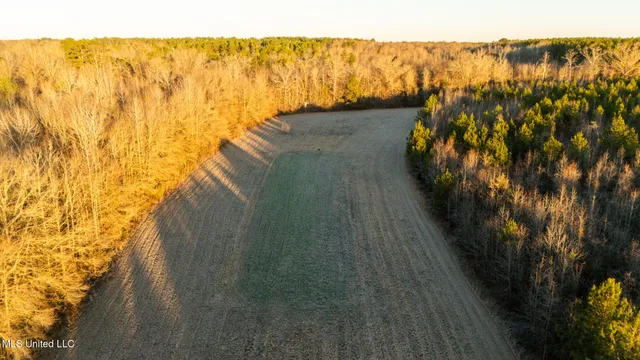 $364,500 | 3885 Attala Road 4153, Sallis, MS 39160