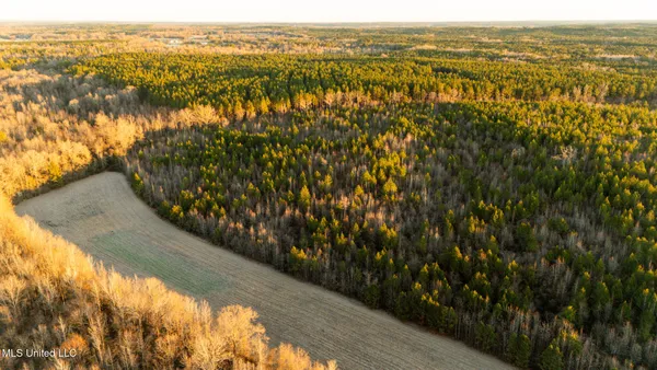 $364,500 | 3885 Attala Road 4153, Sallis, MS 39160