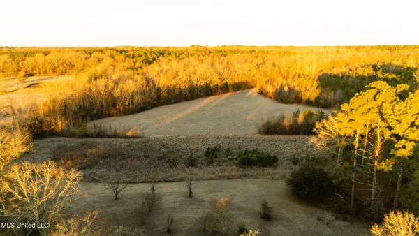 $364,500 | 3885 Attala Road 4153, Sallis, MS 39160