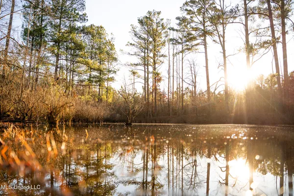 $364,500 | 3885 Attala Road 4153, Sallis, MS 39160