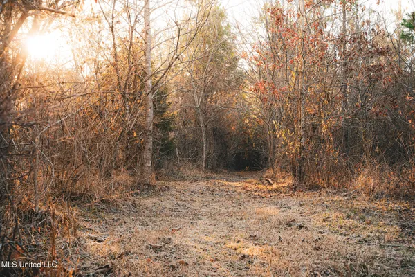 $364,500 | 3885 Attala Road 4153, Sallis, MS 39160