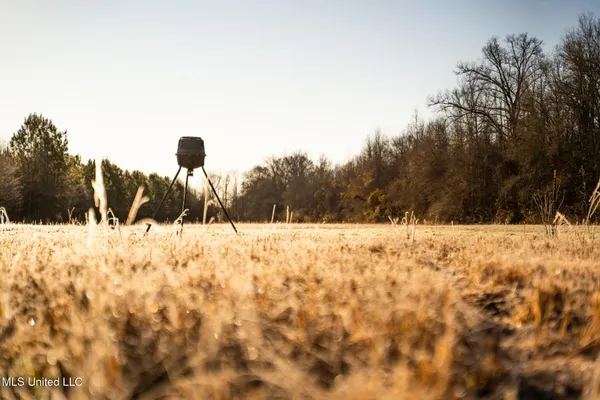 $364,500 | 3885 Attala Road 4153, Sallis, MS 39160