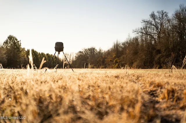 $364,500 | 3885 Attala Road 4153, Sallis, MS 39160