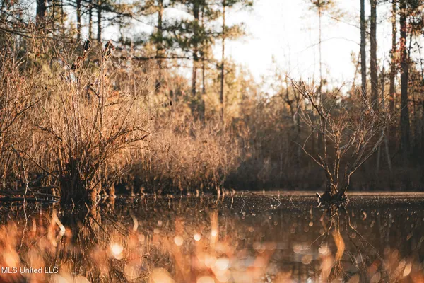 $364,500 | 3885 Attala Road 4153, Sallis, MS 39160