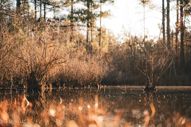 $364,500 | 3885 Attala Road 4153, Sallis, MS 39160