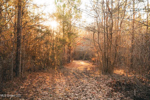 $364,500 | 3885 Attala Road 4153, Sallis, MS 39160