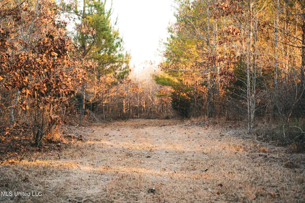 $364,500 | 3885 Attala Road 4153, Sallis, MS 39160