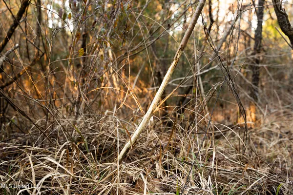 $364,500 | 3885 Attala Road 4153, Sallis, MS 39160