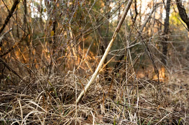 $364,500 | 3885 Attala Road 4153, Sallis, MS 39160