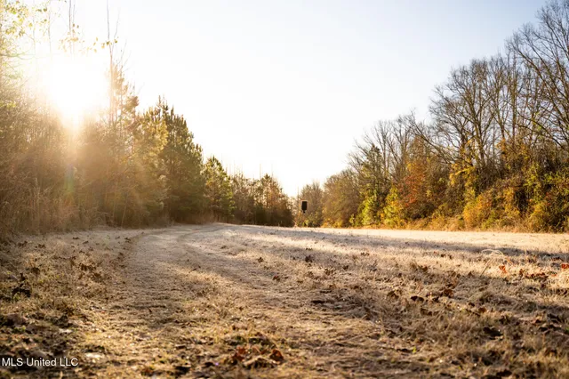 $364,500 | 3885 Attala Road 4153, Sallis, MS 39160
