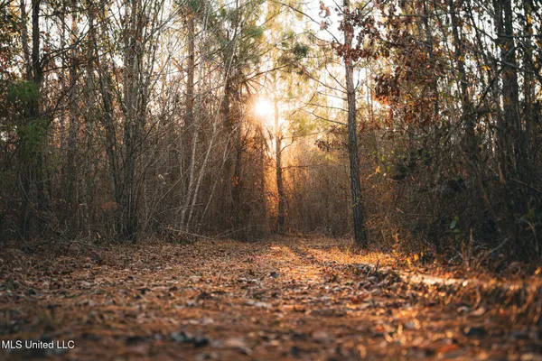 $364,500 | 3885 Attala Road 4153, Sallis, MS 39160