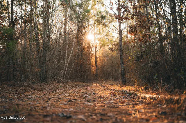 $364,500 | 3885 Attala Road 4153, Sallis, MS 39160