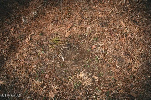 $364,500 | 3885 Attala Road 4153, Sallis, MS 39160