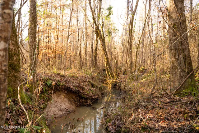 $364,500 | 3885 Attala Road 4153, Sallis, MS 39160