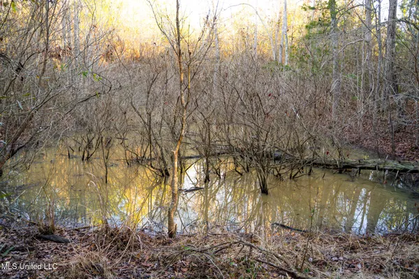 $364,500 | 3885 Attala Road 4153, Sallis, MS 39160