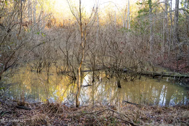 $364,500 | 3885 Attala Road 4153, Sallis, MS 39160