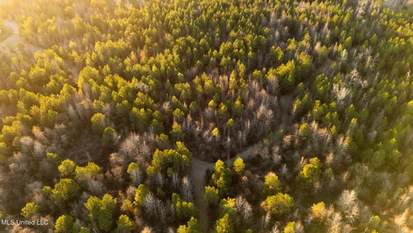 $364,500 | 3885 Attala Road 4153, Sallis, MS 39160