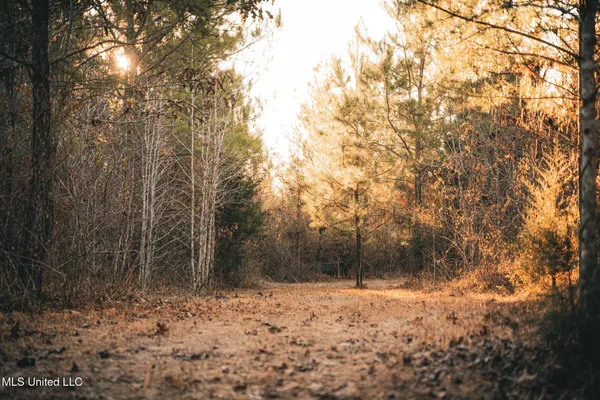 $364,500 | 3885 Attala Road 4153, Sallis, MS 39160