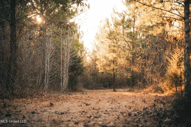$364,500 | 3885 Attala Road 4153, Sallis, MS 39160