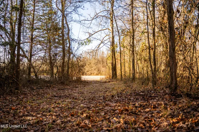 $364,500 | 3885 Attala Road 4153, Sallis, MS 39160