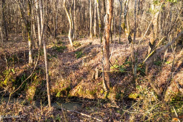 $364,500 | 3885 Attala Road 4153, Sallis, MS 39160