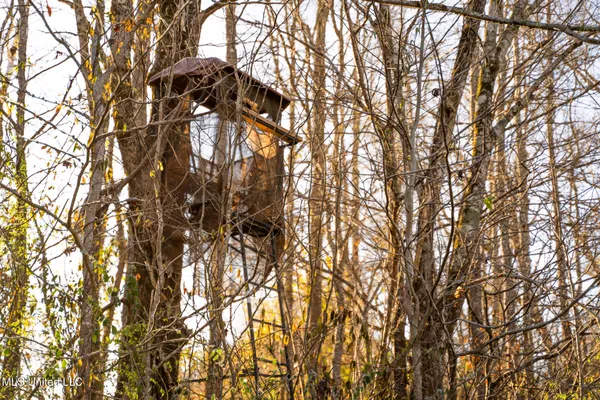 $364,500 | 3885 Attala Road 4153, Sallis, MS 39160