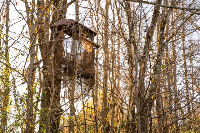 $364,500 | 3885 Attala Road 4153, Sallis, MS 39160