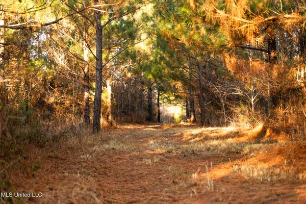 $364,500 | 3885 Attala Road 4153, Sallis, MS 39160