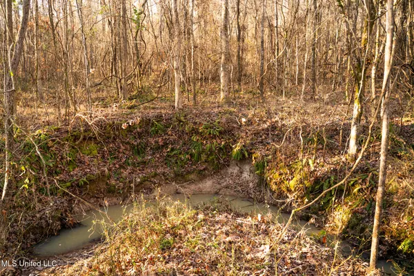 $364,500 | 3885 Attala Road 4153, Sallis, MS 39160