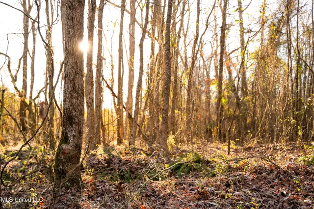 $364,500 | 3885 Attala Road 4153, Sallis, MS 39160