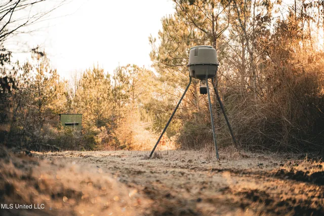 $364,500 | 3885 Attala Road 4153, Sallis, MS 39160