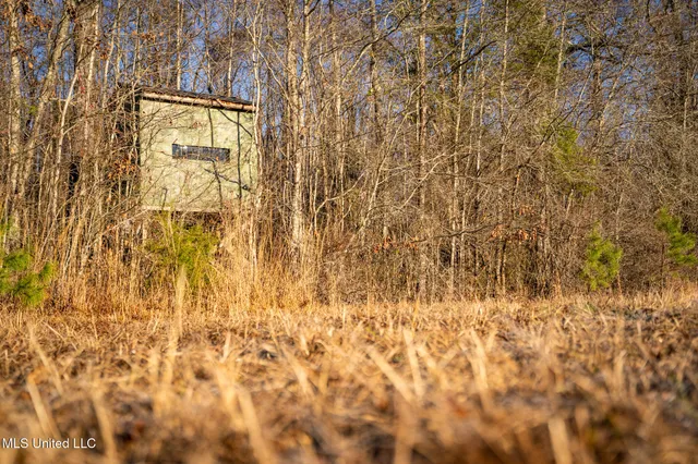 $364,500 | 3885 Attala Road 4153, Sallis, MS 39160