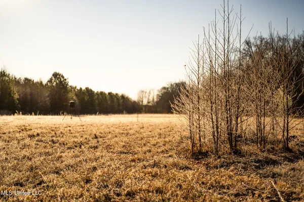 $364,500 | 3885 Attala Road 4153, Sallis, MS 39160