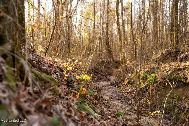 $364,500 | 3885 Attala Road 4153, Sallis, MS 39160