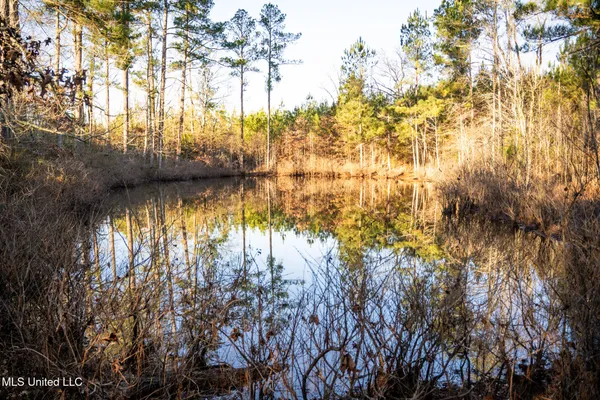 $364,500 | 3885 Attala Road 4153, Sallis, MS 39160