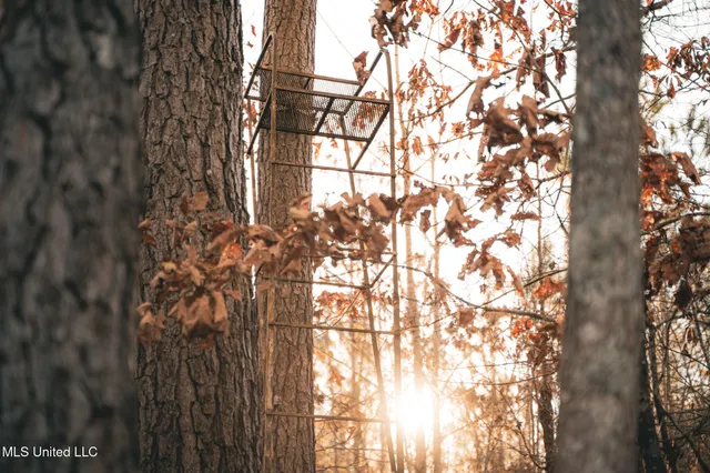 $364,500 | 3885 Attala Road 4153, Sallis, MS 39160