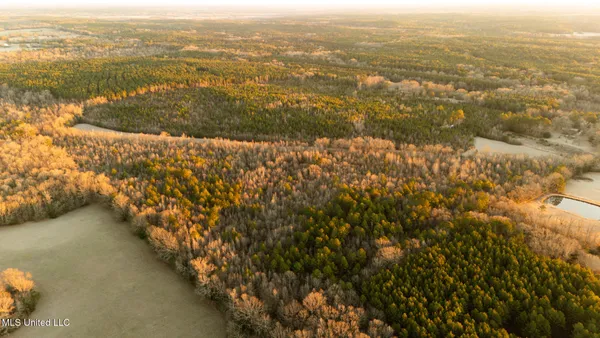 $364,500 | 3885 Attala Road 4153, Sallis, MS 39160