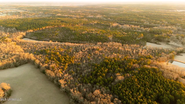 $364,500 | 3885 Attala Road 4153, Sallis, MS 39160