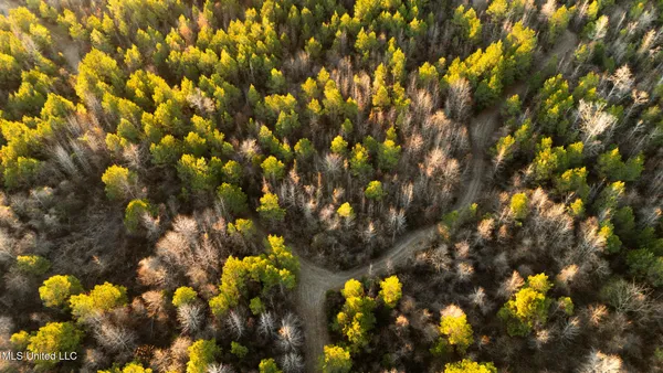 $364,500 | 3885 Attala Road 4153, Sallis, MS 39160