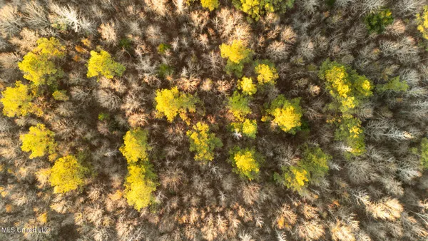 $364,500 | 3885 Attala Road 4153, Sallis, MS 39160