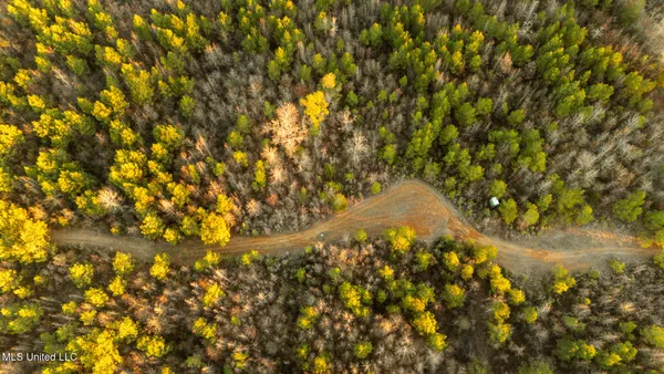 $364,500 | 3885 Attala Road 4153, Sallis, MS 39160