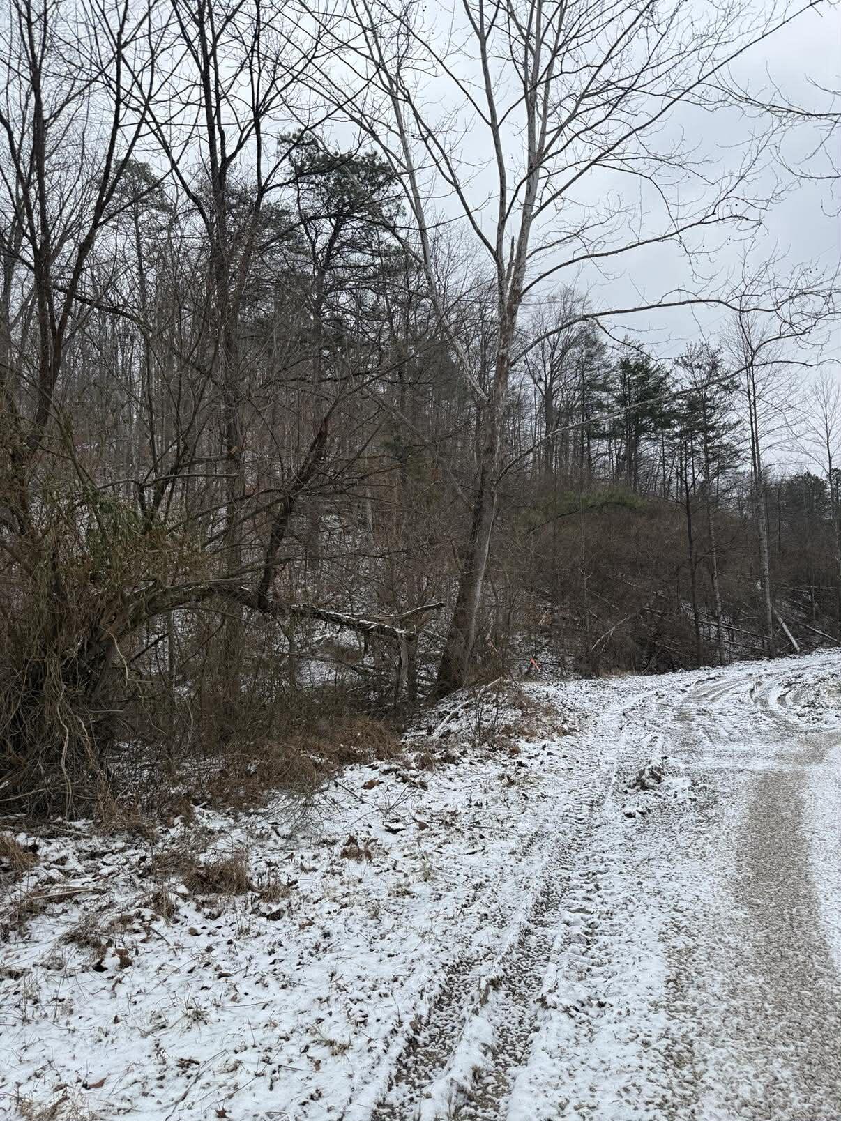 0 Brier Fork Road Isonville, KY 41149 - Photo 2 of 12 639452103_1595315321714118_8608222418136
